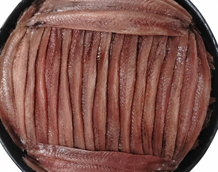Anchoa