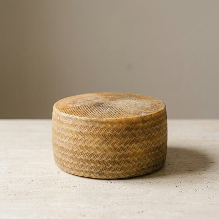 Queso Manchego D.O.P.